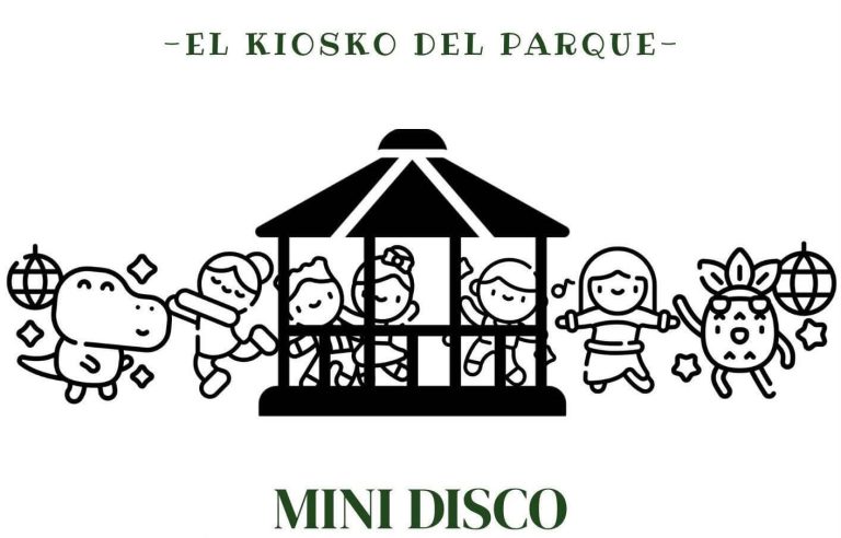 Mini disco